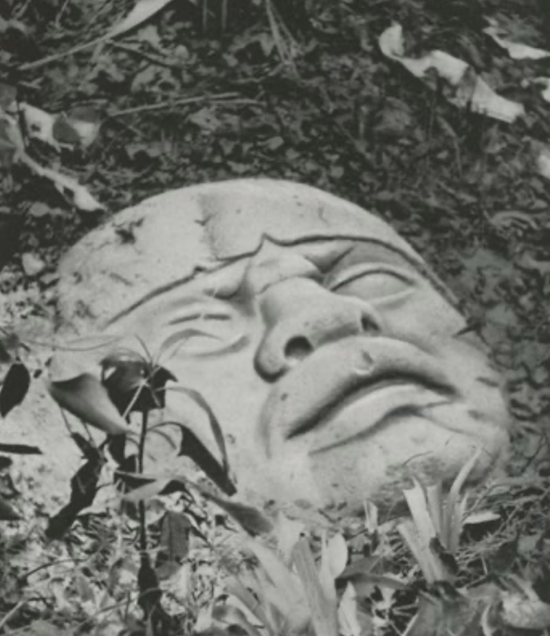 Fotografía de Hurtado de una cabeza colosal olmeca publicada en 'Le Plus Ancien Visage du Nouveau Monde', Cahiers d'Art, número 171, 1952